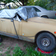 Image for article titled One Year Later, Michigan Man Ordered to Sell 20 Cars a Month Is Out 160 Cars but Remains Upbeat